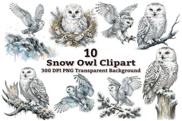 Download Majestic Snowy Owl Clipart Bundle PNG - Bundle Collection