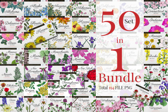 Download Bundles 50 States Flower of America - Bundle Collection